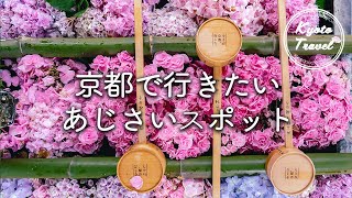 京都観光＊あじさい撮影スポットおすすめ5選｜6月の京都