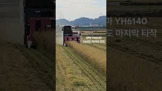 얀마 yanmar 콤바인 yh6140 2024년도 마지막 벼베기