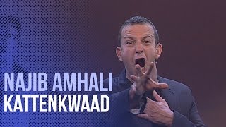 Najib Amhali - Kattenkwaad (Most Wanted)