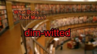 What does dim-witted mean?