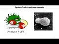 nanophotonics enabling technology for optical biosensing and bioimaging — hatice altug duke fip