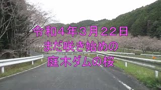 令和４年３月２２日の庭木ダム