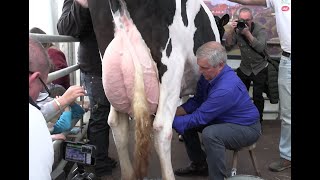 La Feria de la Leche de Ruiloba.(Cantabria) SEGUNDA PARTE. 16 - 2 - 2025