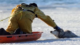 5 ДОБРЫХ ПОСТУПКОВ 2016, КОТОРЫЕ ДОКАЗЫВАЮТ, ЧТО У ЧЕЛОВЕЧЕСТВА ЕСТЬ НАДЕЖДА