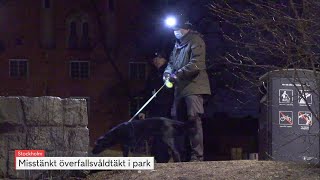 Misstänkt våldtäkt mot 50-årig kvinna i park | TV4 Nyheterna | TV4 & TV4 Play