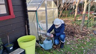 What can we do in our vegetable garden in February?