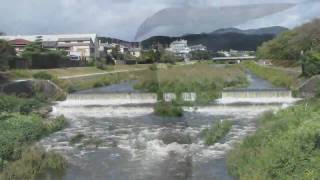 高野川　台風一過　2009年10月8日