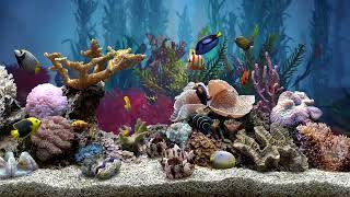 Very Relaxing Fish Tank Aquarium With Water Sound For Focus | No Music | HD