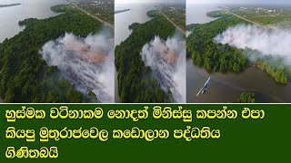 හුස්මක වටිනාකම නොදත් මිනිස්සු කපන්න එපා කියපු මුතුරාජවෙල කඩොලාන පද්ධතිය ගිණිතබයි