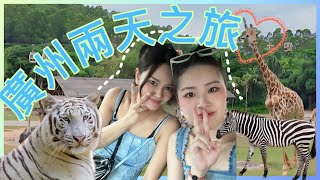 【港豬北上】廣州之旅｜長隆野生動物園｜真正的科莫多龍｜餵 長頸鹿｜國家4A級旅遊景區正佳廣場｜潮發潮汕牛肉火鍋｜華夏世嘉都市樂園｜鈞明歡樂世界｜體驗頭文字D｜室內遊樂埸｜室內War Game｜馬戲