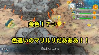 ポケモン不思議のダンジョンDX　金色のマリルリ見つけたぞ！！