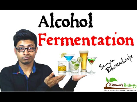 Alcohol Fermentation - YouTube