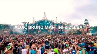 Alok, Bruno Martini - Hear Me Now ft. Zeeba Tomorrowland|  (Sub Español)