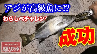 アジを泳がせたら高級魚にわらしべしました