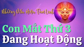 Con Mắt Thứ Ba Đang Hoạt Động - Những Dấu Hiệu Tâm Linh