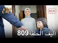 أليف الحلقة 809 | دوبلاج عربي