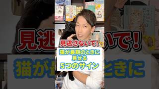 見逃さないで！猫が最期の時に見せる５つのサイン