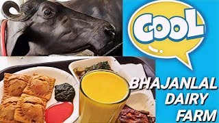 BHAJANLAL DAIRY FARM | 2000 MHASHI aani  GAAYI | VASAI madhye sapadla GOKUL |