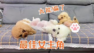 妞妞拜师记！铲屎官下血本了，邀请蓝宝友情客串（搞笑剧情向）【吃货雅小妞】