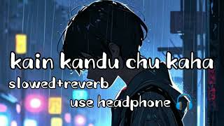 kain kandu chu kaha | odia slowed reverb song | 2024