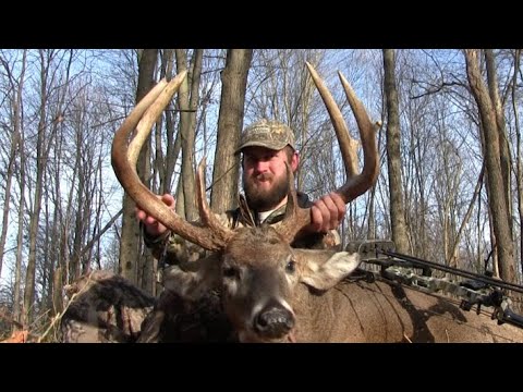 Bowhunting Ohio Rut: Biggest 6 Point Whitetail Ever Killed On Film! 140 ...