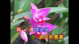 訪陸游  (林慕貞子喉伴唱)