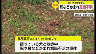 耳などかまれ意識不明 飼い犬と散歩中に 鹿児島県薩摩川内市(動物愛誤)(製造車禍.傷人.人身被害)(Animal Attacks)(アニマルホーダー)(COVID-19)(狂犬病.Rabies)