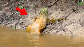 What They Captured In The Swamp Shocked The Whole World
