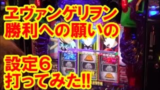 ヱヴァンゲリヲン勝利への願いの設定６打ってみた！【中山打ってみた】