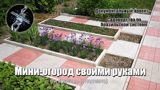 Декоративный мини огород на даче. Большой урожай с пяти грядок.