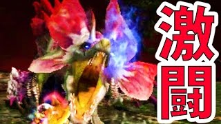 【MHXX実況】『天眼タマミツネ（超特殊）』に再度ソロで挑む男-PART82-【モンハンダブルクロス】【全クエ制覇を目指して】