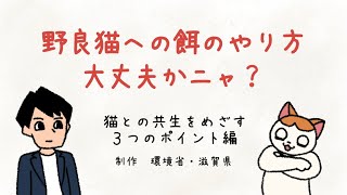 野良猫への餌のやり方大丈夫かニャ？～猫との共生をめざす３つのポイント編～