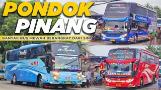 BANYAK BUS MEWAH BERANGKAT DARI SINI ‼️ HUNTING BUS ANGKATAN PAGI TERMINAL PONDOK PINANG