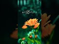 حضور پاک ﷺ نے فرمایا islamicvideo youtube ytshorts religion ajmalrazaqadristatus islamicspeaker