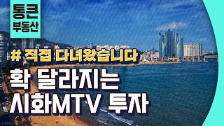 직접 다녀왔습니다 | 확! 달라지는 시화 mtv 투자