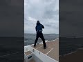 ヒラマサ17キロ shorts fishing