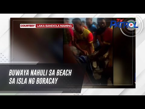 Buwaya nahuli sa beach sa isla ng Boracay TV Patrol