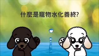 什麼是寵物水化善終?  - Pet To Nature