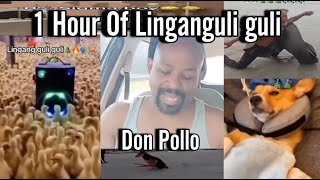 Linganguli guli guli Don Pollo 1 Hour