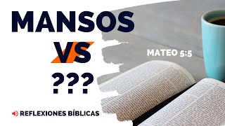 reflexiones biblicas BIENAVENTURADOS los mansos Mateo 5 ✅  reflexiones de 3 minutos