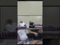 محمد بوجبارة ووالده الجزء الاول محمد_بوجبارة عاشوراء دانيال_بوجبارة بوجبارة shorts short