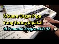 5 Suara Organ Gereja yang Sering Dipakai Organis di Stagea ELB 02