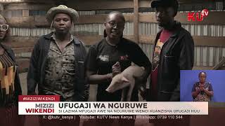 Ufugaji wa Nguruwe