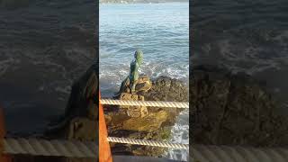 Playa principal en zihuatanejo tambien se recorre