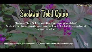 Pujian sebelum sholat | Tibbil Qulub ( Keutamaan Sholawat Tibbil Qulub )