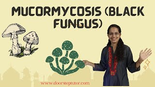Mucormycosis (Black Fungus): Rare Fungal Infection - Covid-19 Types \u0026 Fungal Spores