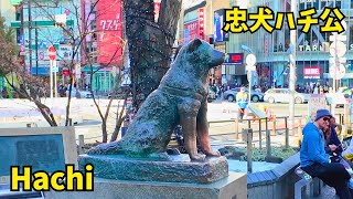 𝟜𝕂😢Very Busy Shibuya Walk Right before Hachiko's Wall Relief Demolished in 𝕊𝕙𝕚𝕓𝕦𝕪𝕒 𝕋𝕠𝕜𝕪𝕠 𝕁𝕒𝕡𝕒𝕟 2025