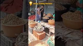 vizag fishing harbour✨