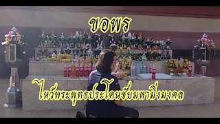 ขอพร ไหว้พระพุทธประโคนชัยมหามิ่งมงคล #ขแมร์ #ปิ๊ก #kamare #ขมาดเนี๊ยกรอ #พระเอกไก่แก้วพรวารินทร์