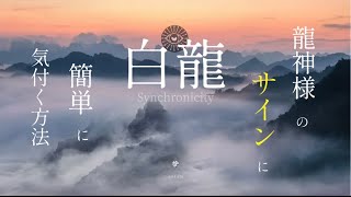 【簡単にできる】龍神様のサインやメッセージに気付く方法！【龍の背中に乗って覚醒】シンクロニシティが加速する。